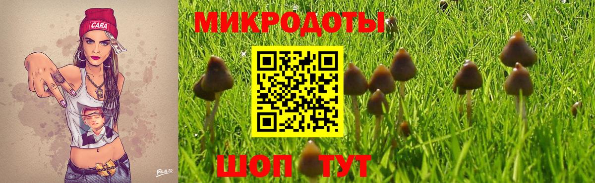 Малоярославец  Псилоцибиновые грибы ЛСД  наркошоп  Вход с VPN 